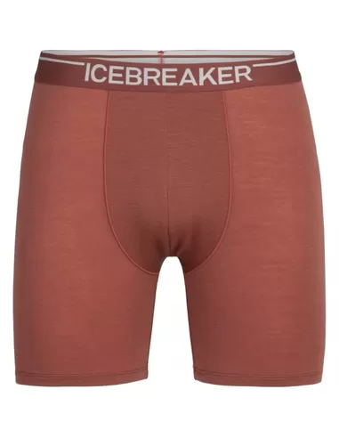 Icebreaker Anatomica Long Boxers