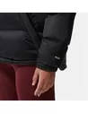 The North Face Diablo Down Hooded Jacket
